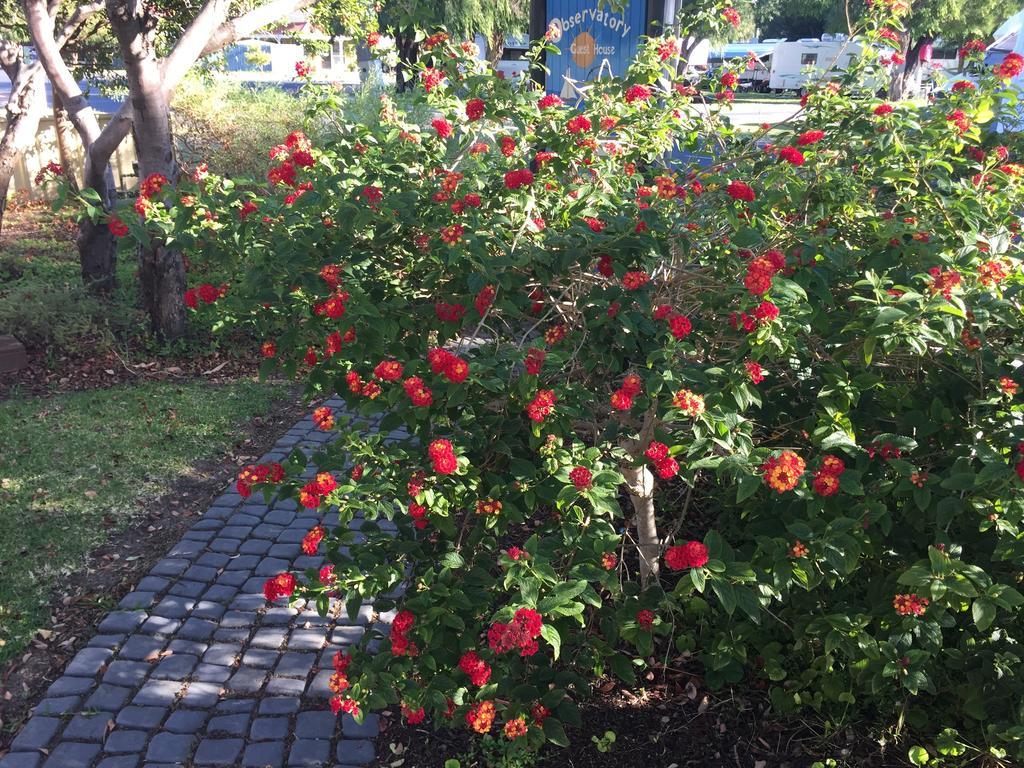 Observatory Guesthouse - Adults Only Busselton Luaran gambar